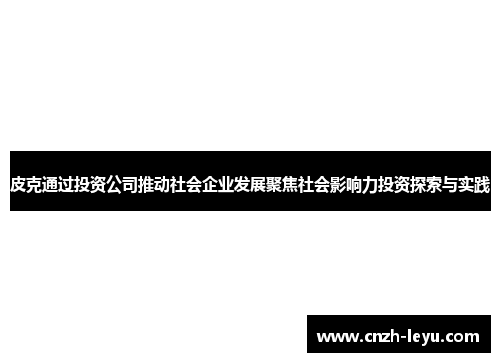 皮克通过投资公司推动社会企业发展聚焦社会影响力投资探索与实践