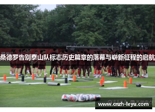桑德罗告别泰山队标志历史篇章的落幕与崭新征程的启航