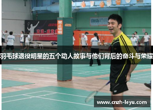 羽毛球退役明星的五个动人故事与他们背后的奋斗与荣耀