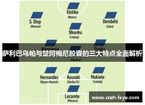 萨利巴乌帕与楚阿梅尼胶囊的三大特点全面解析 萨利巴乌帕与楚阿梅尼胶囊的三大特点全面解析