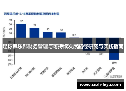 足球俱乐部财务管理与可持续发展路径研究与实践指南 足球俱乐部财务管理与可持续发展路径研究与实践指南