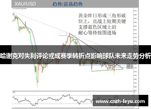 哈谢克对失利评论或成赛季转折点影响球队未来走势分析