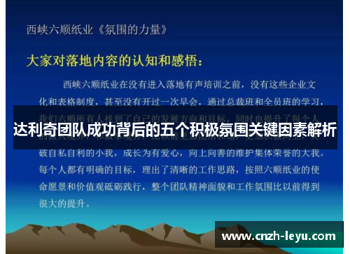 达利奇团队成功背后的五个积极氛围关键因素解析