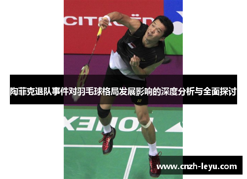 陶菲克退队事件对羽毛球格局发展影响的深度分析与全面探讨