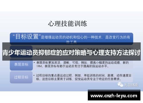 青少年运动员抑郁症的应对策略与心理支持方法探讨
