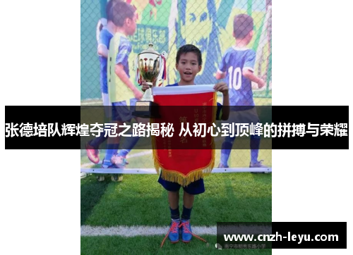 张德培队辉煌夺冠之路揭秘 从初心到顶峰的拼搏与荣耀