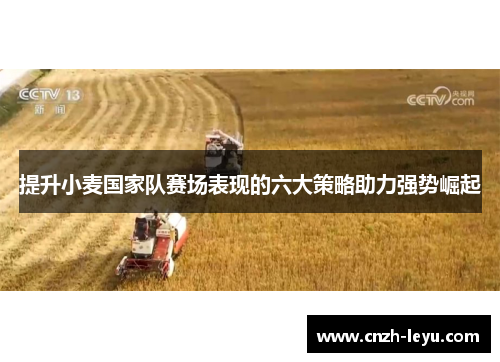 提升小麦国家队赛场表现的六大策略助力强势崛起