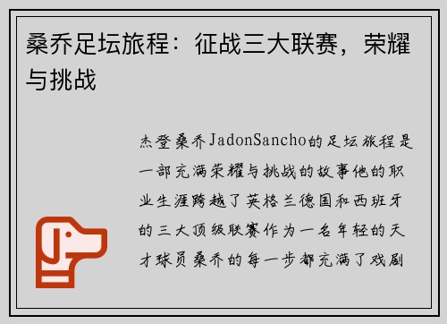 桑乔足坛旅程:征战三大联赛,荣耀与挑战 桑乔足坛旅程:征战三大联赛,荣耀与挑战