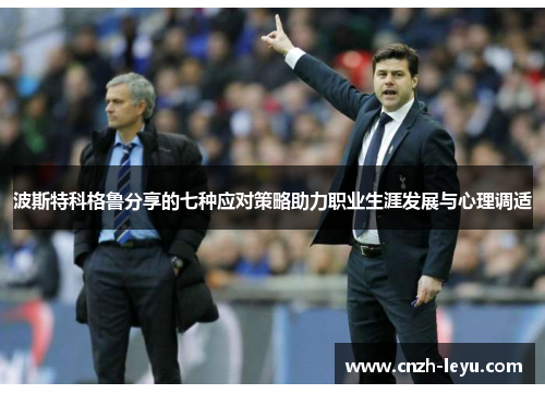波斯特科格鲁分享的七种应对策略助力职业生涯发展与心理调适