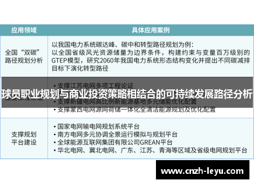 球员职业规划与商业投资策略相结合的可持续发展路径分析